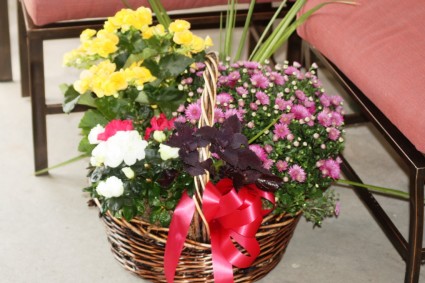 Wicker Dish Garden